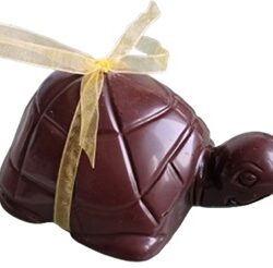 Tortue